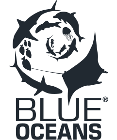 Blue Oceans