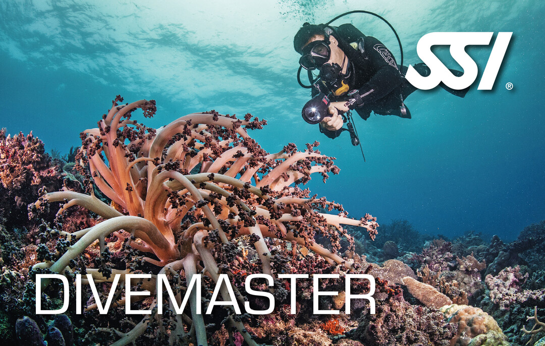 Dive Guide Pro+Sience of Diving (Divemaster)